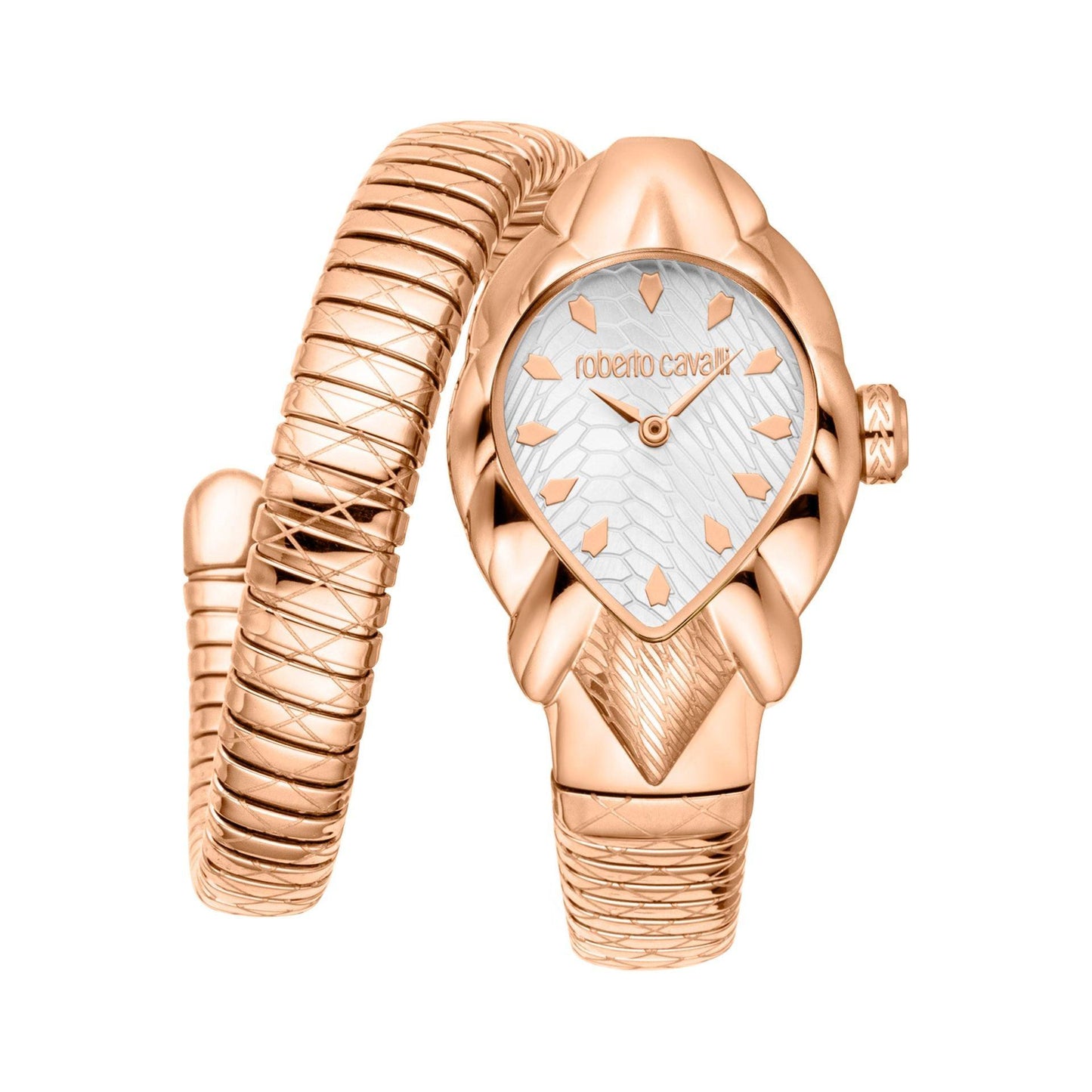 Image de Roberto Cavalli Montres – Felix Store