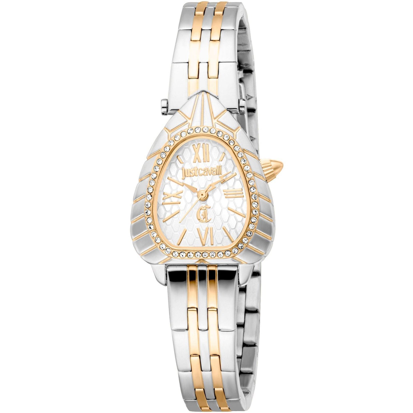 Image de Just Cavalli Montres – Felix Store
