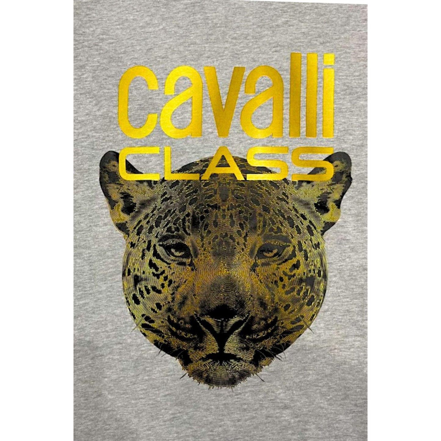 Image de Cavalli Class Sweat-shirts – Felix Store