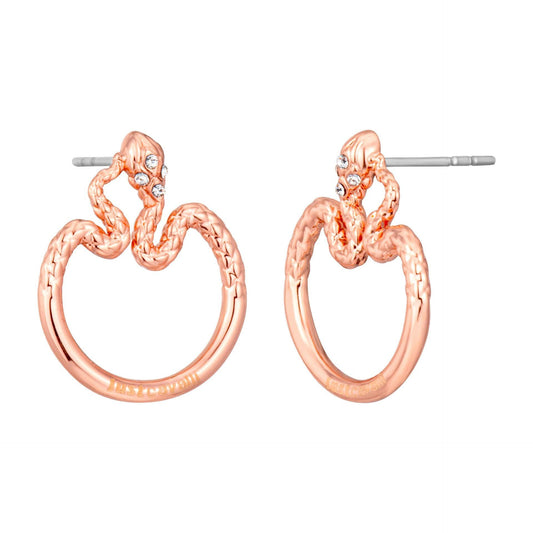 Image de Just Cavalli Boucles d'oreilles – Felix Store 